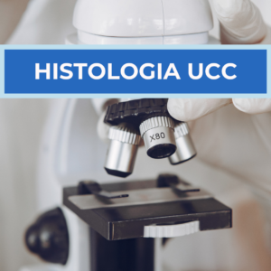 HISTOLOGIA UCC