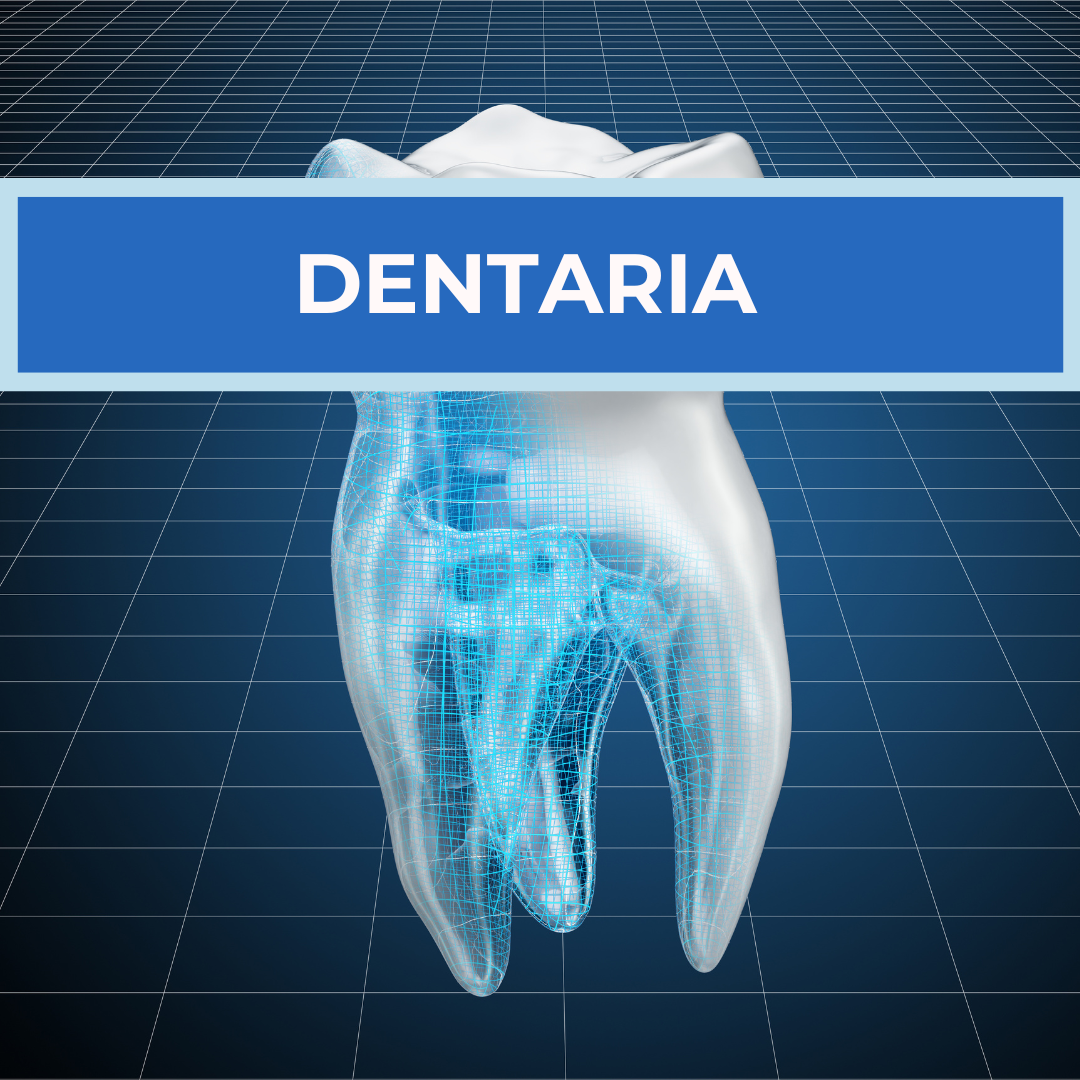 ANATOMIA DENTARIA