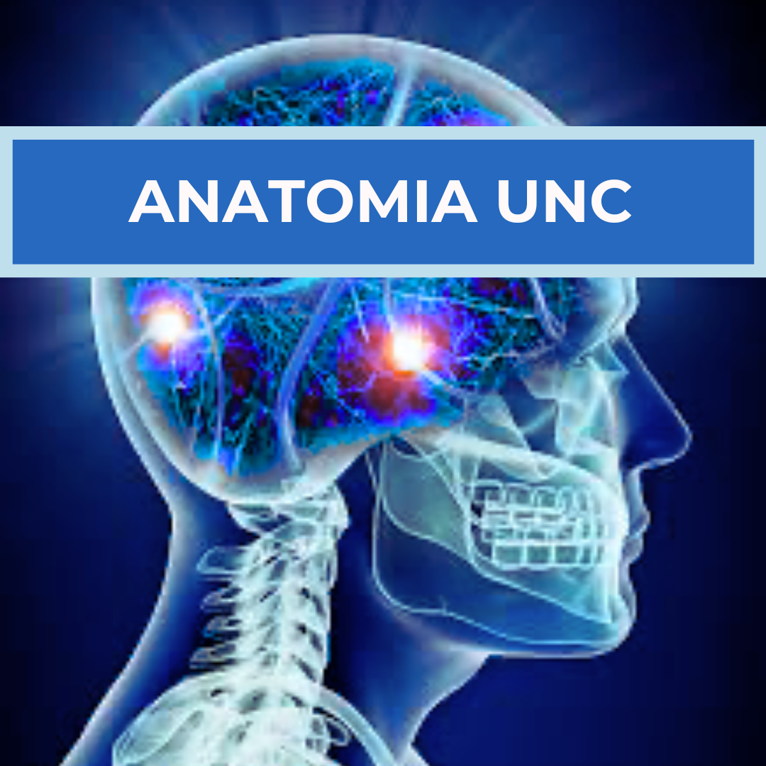ANATOMIA UNC