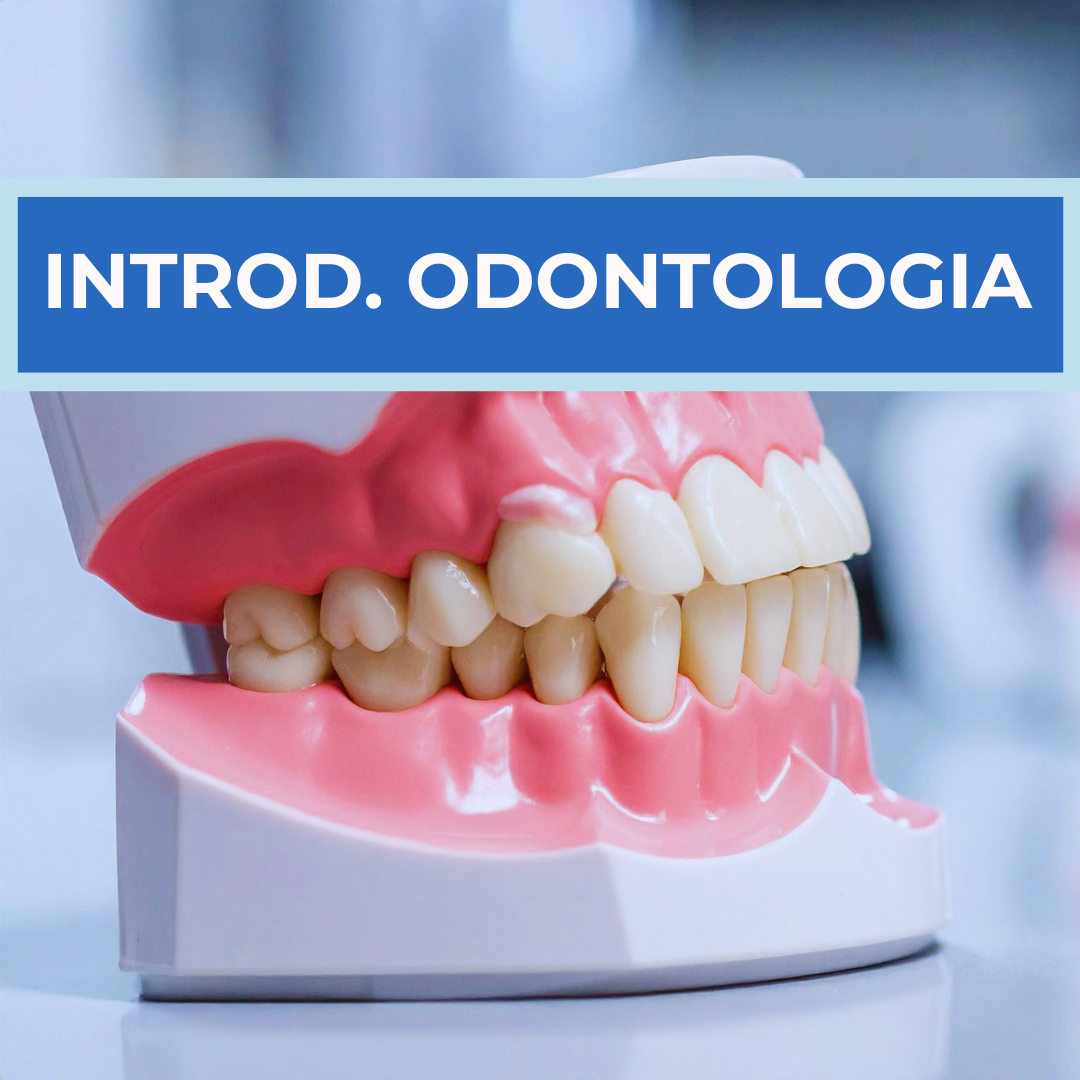 INTRODUCCION A LA ODONTOLOGIA